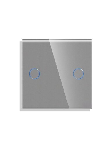 Dvipolis sensorinis jungiklio dangtelis Feelspot, pilkas, 47x47mm