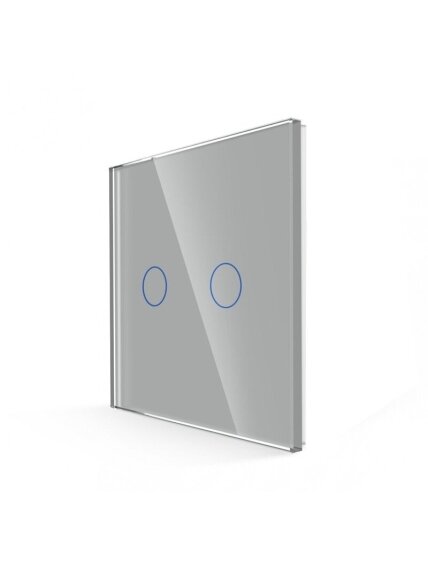 Dvipolis sensorinis jungiklio dangtelis Feelspot, pilkas, 86x86mm 1
