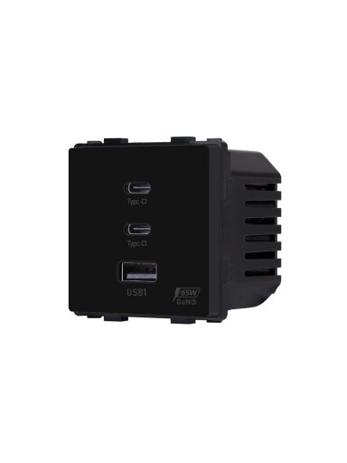 Greito krovimo rozetė Feelspot su USB+C+C jungtimis, 65W, juoda