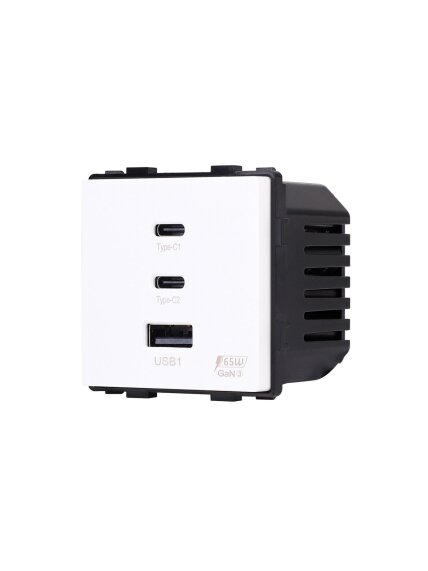 Greito krovimo rozetė Feelspot su USB+C+C jungtimis, 65W, balta 1