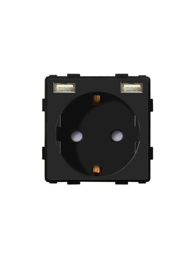 Kištukinis lizdas su USB Feelspot