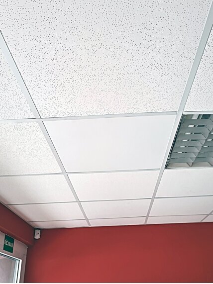 Natūralaus šildymo plokštė SolBee SBP450 C 4