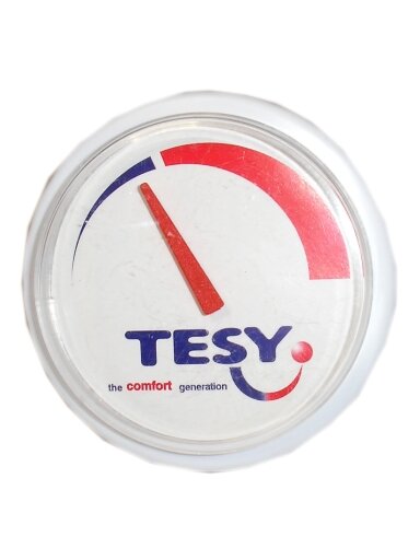 Termometras TE2607