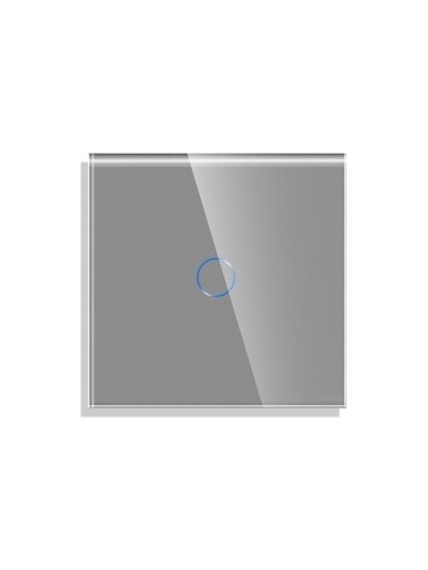 Vienpolis sensorinis jungiklio dangtelis Feelspot, pilkas, 47x47mm