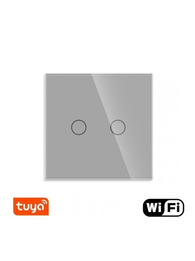 WiFi dvipolis sensorinis jungiklis Feelspot, pilkas 600W