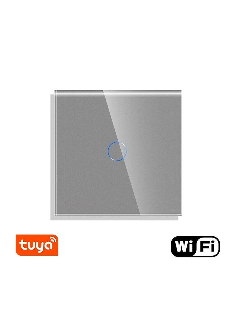 WiFi vienpolis sensorinis jungiklis Feelspot, pilkas 600W
